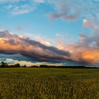 EL mahepiirkond 2025