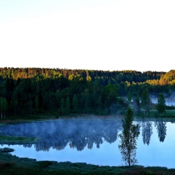 RÕUGEN ROTKOLAAKSO