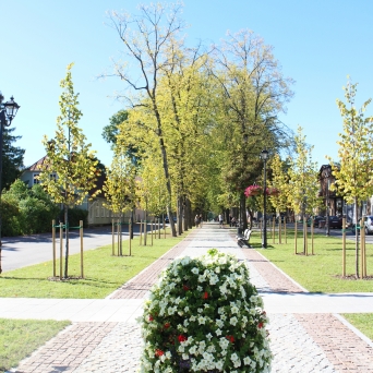 Võru vanalinn ja Katariina allee (Võru linn)