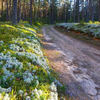PIUSA RIVER LANDSCAPE RESERVE