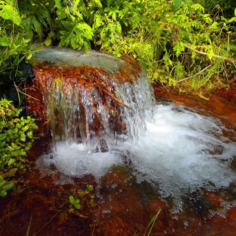 RÕUGE PRIMEVAL VALLEY