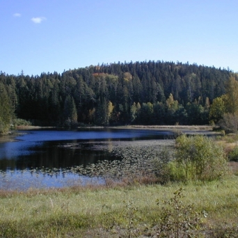 HAANJAN LUONNONPUISTO