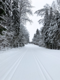 EL mahepiirkond 2025